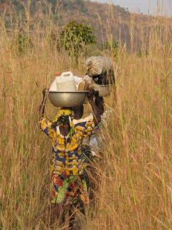 02 Femmes Transportant Leur Chargement En Brousse